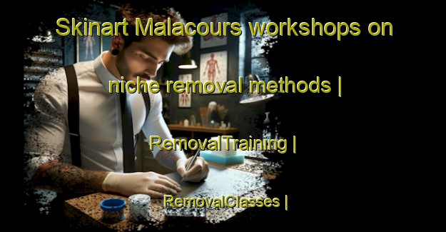 Skinart Malacours workshops on niche removal methods | RemovalTraining | RemovalClasses | SkinartTraining-France